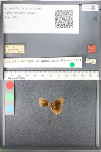 Media type: image;   Entomology 102798